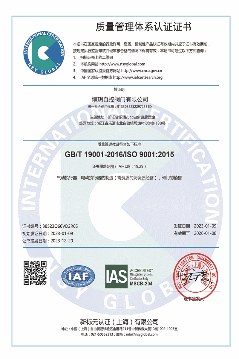 ISO 9001