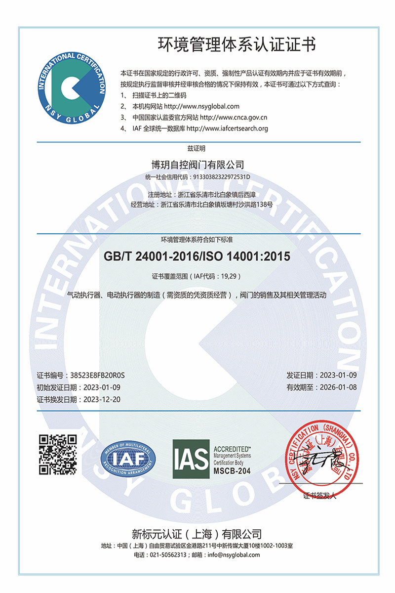 ISO 9001