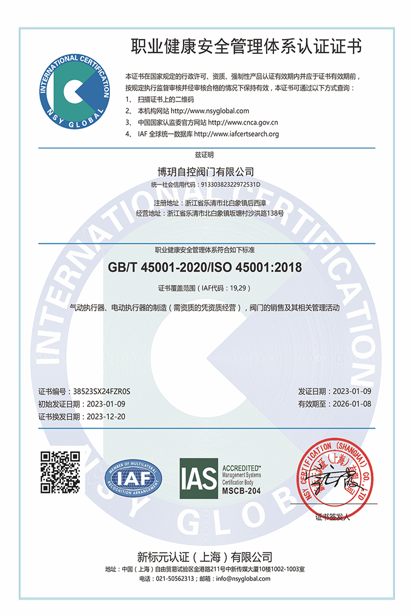 ISO 9001